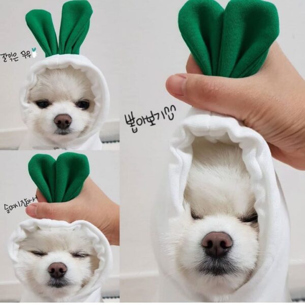 iKid Cute Fruit Dog Clothes For Small Dogs Hoodies Winter Warm Fleece Pet Clothing Puppy Cat Costume Coat For French Chihuahua Outfit - Image 8