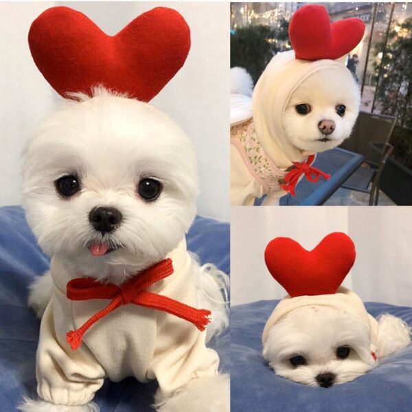 iKid Cute Fruit Dog Clothes For Small Dogs Hoodies Winter Warm Fleece Pet Clothing Puppy Cat Costume Coat For French Chihuahua Outfit - Image 6