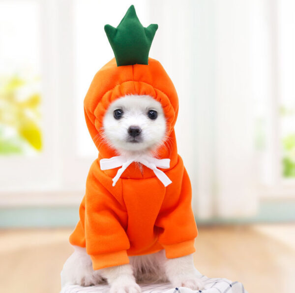 iKid Cute Fruit Dog Clothes For Small Dogs Hoodies Winter Warm Fleece Pet Clothing Puppy Cat Costume Coat For French Chihuahua Outfit - Image 7