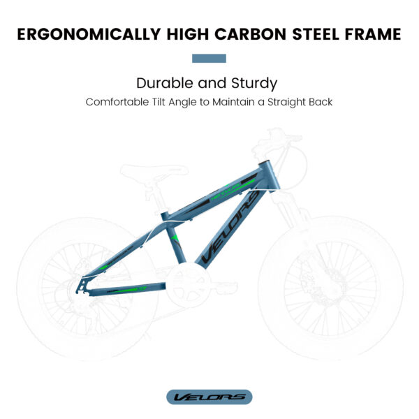 iKid V20235 20 Inch Fat Tire Bike 7 Speed Mountain Bike Dual Disc Brakes High Carbon Steel Frame Front Suspension Mountain Buggy City Commuter City Bike Fat Tire Bike - Image 6