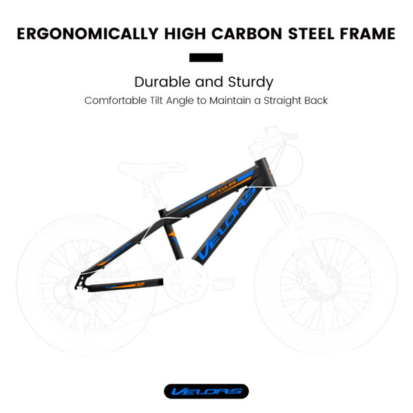 iKid V20235 20 Inch Fat Tire Bike 7 Speed Mountain Bike Dual Disc Brakes High Carbon Steel Frame Front Suspension Mountain Buggy City Commuter City Bike Fat Tire Bike - Image 10
