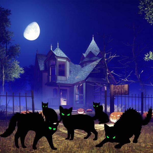 6Pcs Skull Or 6Pcs Tomb Or 5Pcs Black Cat Halloween Yard Sign Decorations Glow In The Dark For Haunted House Garden Yard And Scary Theme Party - Image 8