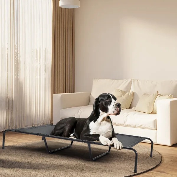 60D X 37W X 9H Dog Bed